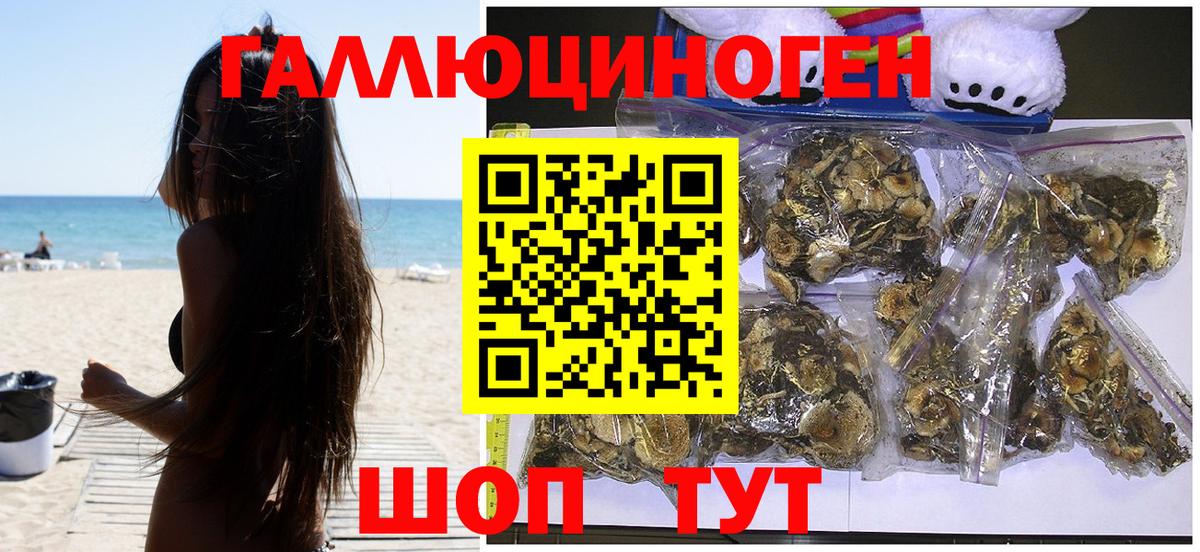 Галлюциногенные грибы мицелий Верхняя Салда