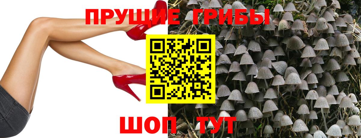 Псилоцибиновые грибы прущие грибы  Псилоцибиновые грибы Magic Shrooms  Верхняя Салда  Вход с VPN 